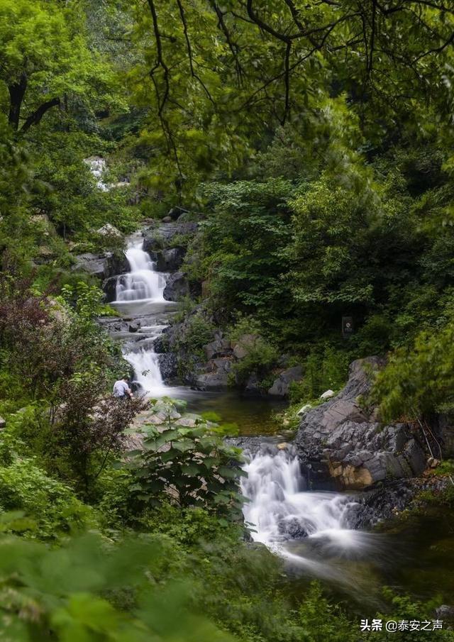山东一臭水沟内捞出8箱飞天茅台，救援队：是赃物 ，截流后打捞，市值20多万